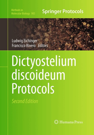 Ludwig Eichinger, Francisco Rivero - Dictyostelium discoideum Protocols, Häftad