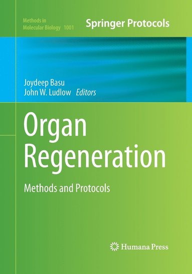 bokomslag Organ Regeneration