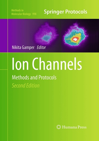 Nikita Gamper - Ion Channels, Häftad