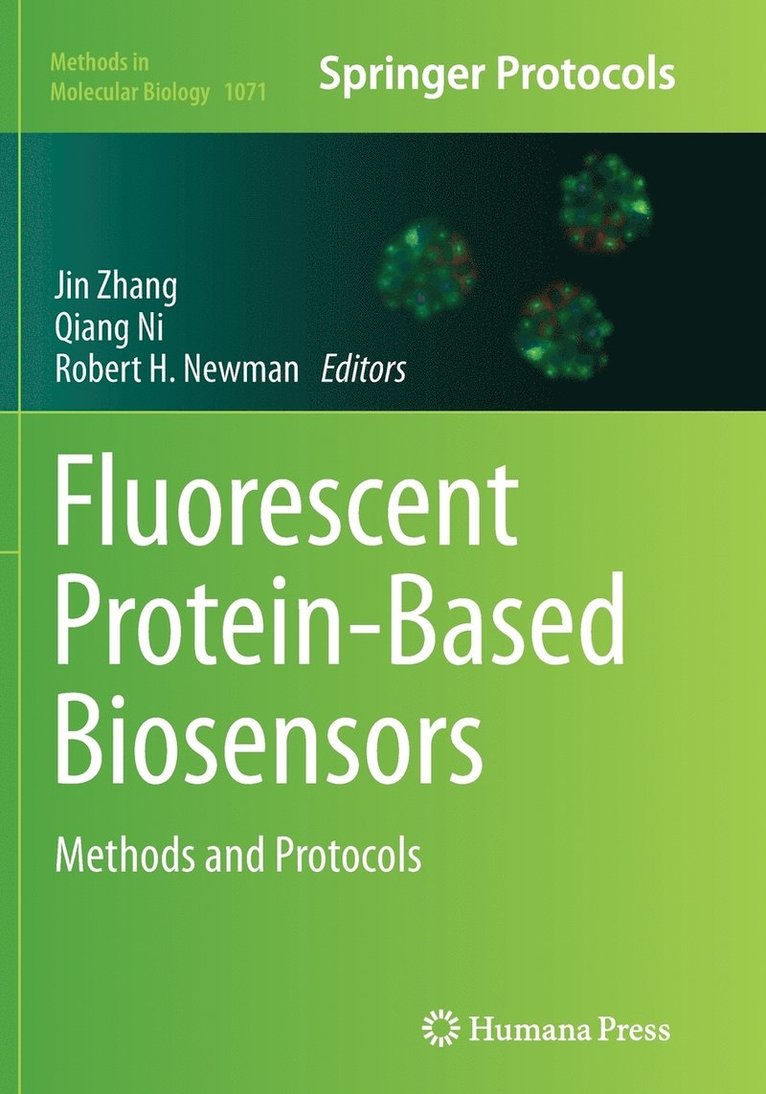Jin Zhang, Qiang Ni, Robert H Newman - Fluorescent Protein-Based Biosensors, Häftad