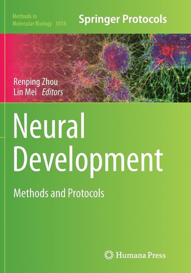 bokomslag Neural Development