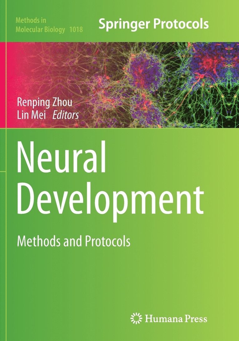 Neural Development 1