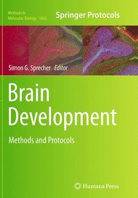 bokomslag Brain Development