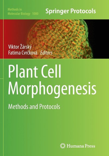 bokomslag Plant Cell Morphogenesis