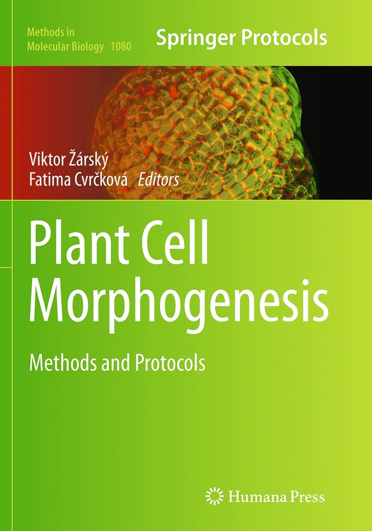 Viktor Žárský, Fatima Cvrčková, Viktor Zárský, Fatima Cvr&#269;ková, Viktor árský, Fatima Cvrcková, Fatima Cvr¿ková, Viktor ¿Árský - Plant Cell Morphogenesis, Häftad