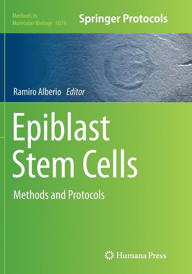 Epiblast Stem Cells 1