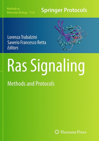 bokomslag Ras Signaling