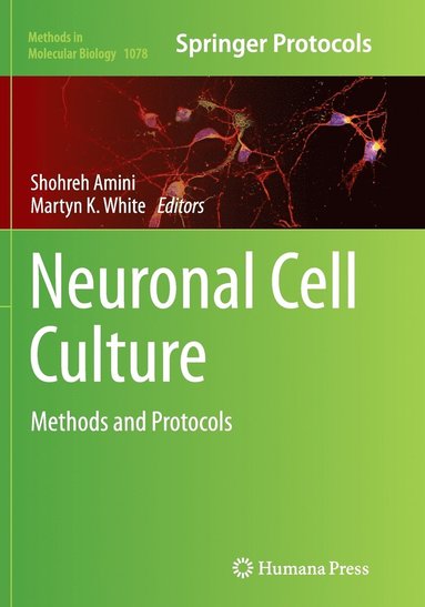 bokomslag Neuronal Cell Culture