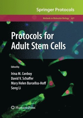 bokomslag Protocols for Adult Stem Cells