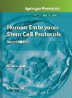 bokomslag Human Embryonic Stem Cell Protocols
