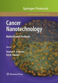 bokomslag Cancer Nanotechnology