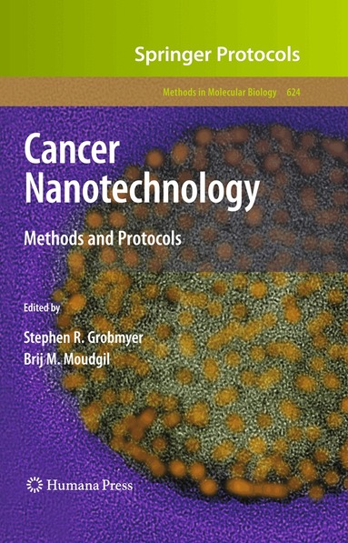 Stephen R. Grobmyer, Brij M. Moudgil - Cancer Nanotechnology, Häftad