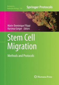 bokomslag Stem Cell Migration