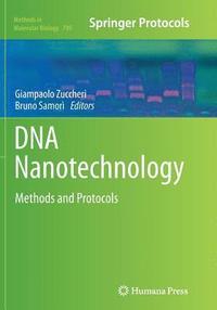 bokomslag DNA Nanotechnology