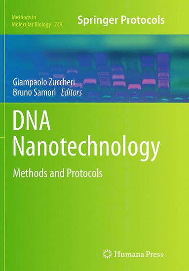 bokomslag DNA Nanotechnology