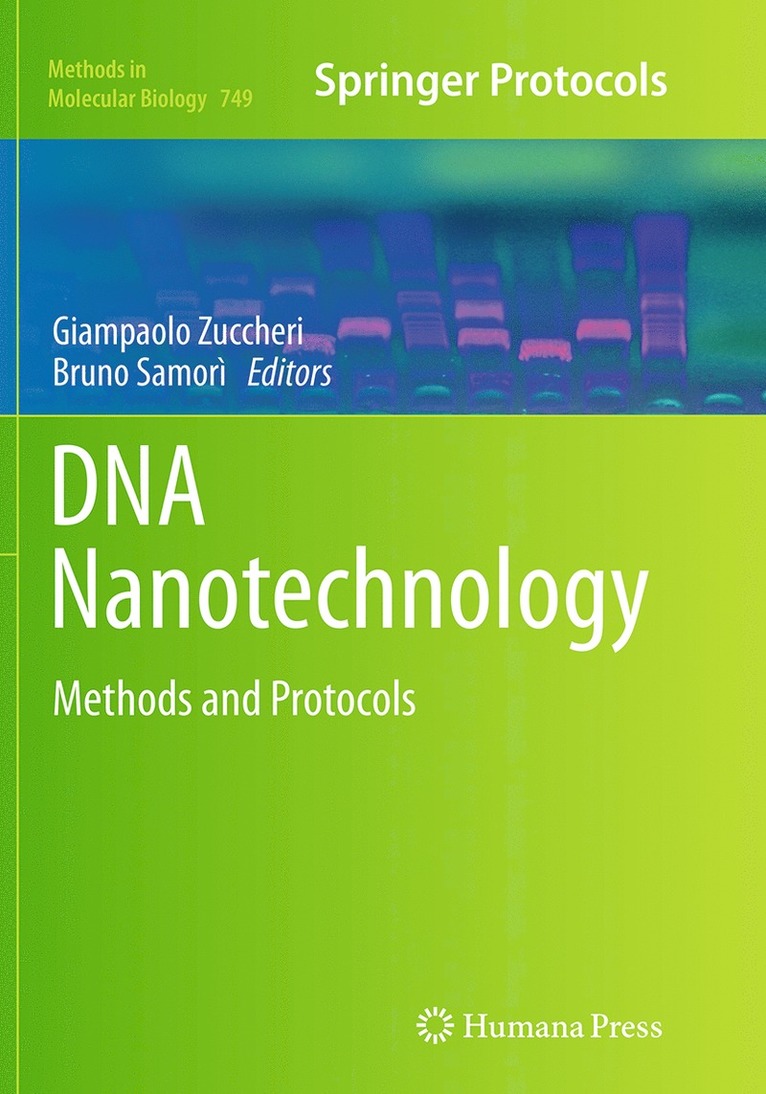 Giampaolo Zuccheri, Bruno Samorì - DNA Nanotechnology, Häftad