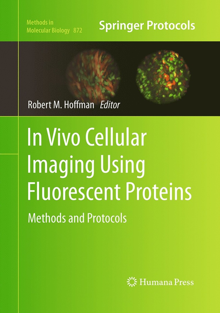 Robert Hoffman - In Vivo Cellular Imaging Using Fluorescent Proteins, Häftad