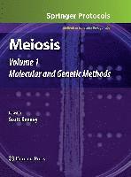 Meiosis 1