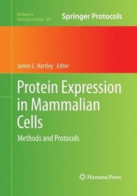 bokomslag Protein Expression in Mammalian Cells