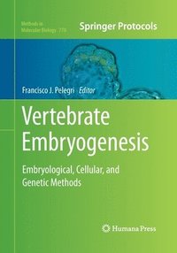 bokomslag Vertebrate Embryogenesis