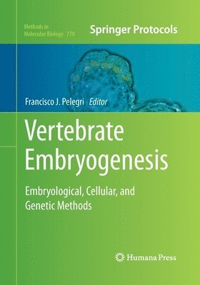 bokomslag Vertebrate Embryogenesis