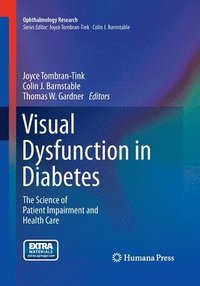 bokomslag Visual Dysfunction in Diabetes
