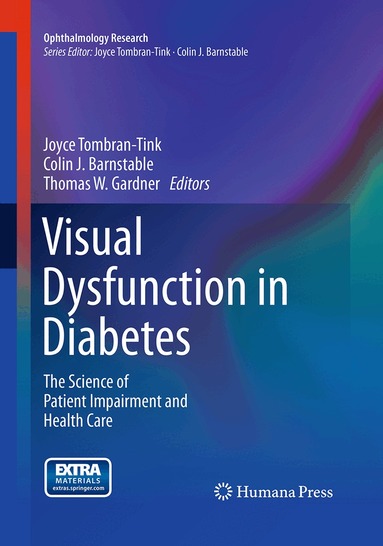 Joyce Tombran-Tink, Colin J. Barnstable, Thomas W. Gardner - Visual Dysfunction in Diabetes, Häftad