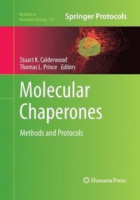 bokomslag Molecular Chaperones