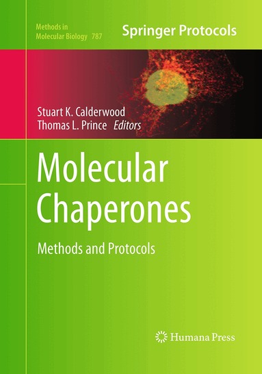 Stuart K. Calderwood, Thomas L. Prince - Molecular Chaperones, Häftad
