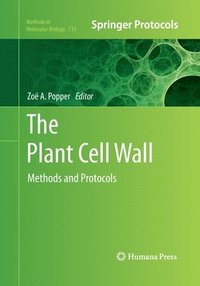 bokomslag The Plant Cell Wall