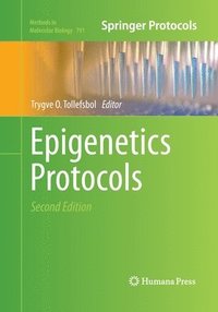 bokomslag Epigenetics Protocols