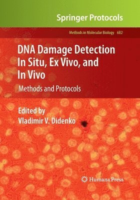 DNA Damage Detection In Situ, Ex Vivo, and In Vivo 1