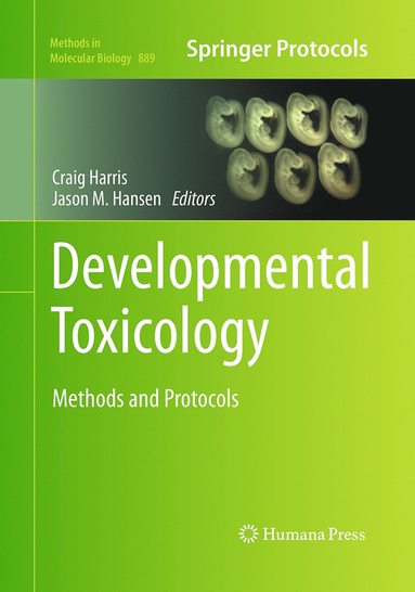 bokomslag Developmental Toxicology