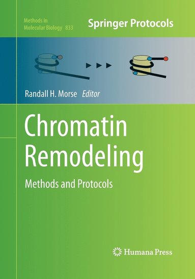 bokomslag Chromatin Remodeling