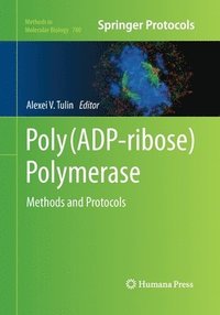 bokomslag Poly(ADP-ribose) Polymerase