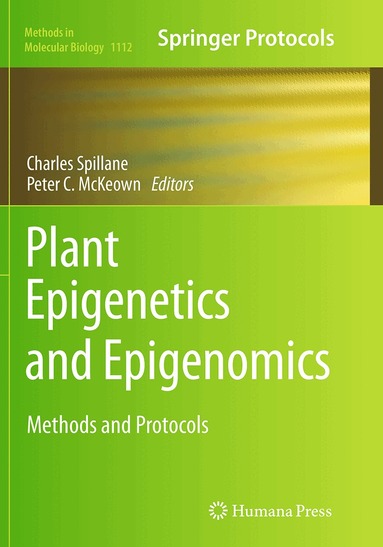 Charles Spillane, Peter C. McKeown - Plant Epigenetics and Epigenomics, Häftad
