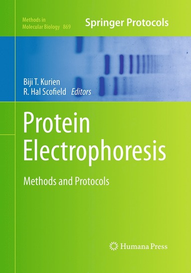 bokomslag Protein Electrophoresis