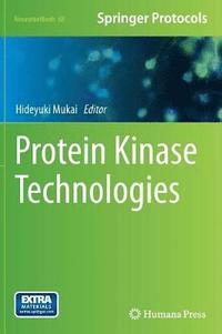 bokomslag Protein Kinase Technologies