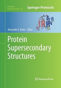 bokomslag Protein Supersecondary Structures