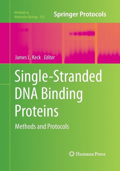 bokomslag Single-Stranded DNA Binding Proteins