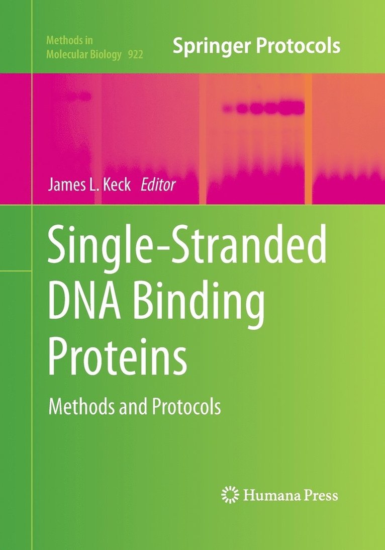 Single-Stranded DNA Binding Proteins