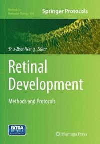 bokomslag Retinal Development