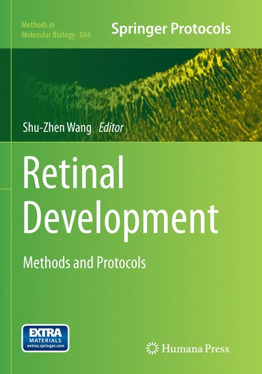 bokomslag Retinal Development