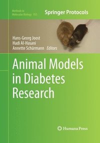 bokomslag Animal Models in Diabetes Research