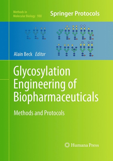 bokomslag Glycosylation Engineering of Biopharmaceuticals