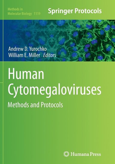 bokomslag Human Cytomegaloviruses