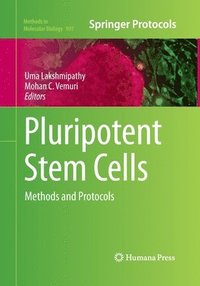 bokomslag Pluripotent Stem Cells