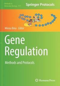 bokomslag Gene Regulation