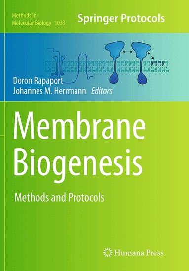 Doron Rapaport, Johannes M. Herrmann - Membrane Biogenesis, Häftad