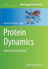 bokomslag Protein Dynamics